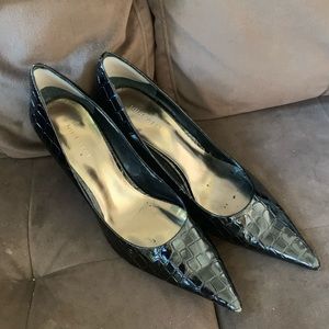 Crocodile pumps